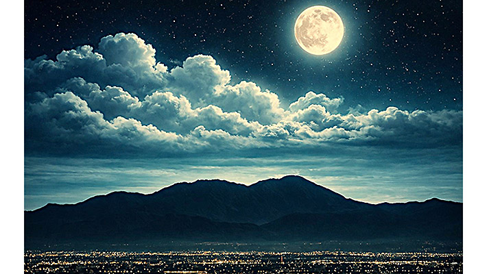 Sogni_del_deserto_wilma